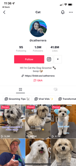 کاربر تایید نشده TikTok Cat the Dog Groomer (@catherrera) 1 میلیون دنبال کننده دارد