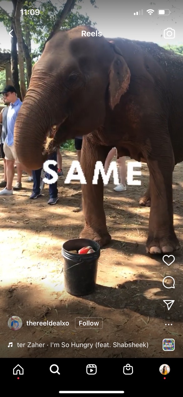 فیل با متن همان