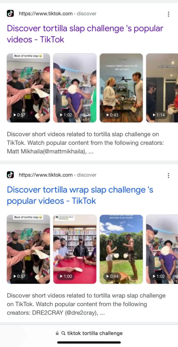 نحوه جستجو در TikTok بدون حساب نتایج Google Tortilla Wrap Challenge