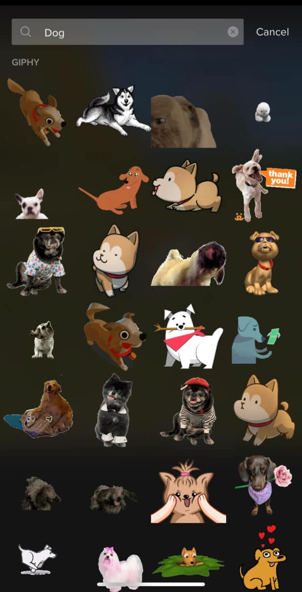 جستجوی GIF سگ در TikTok