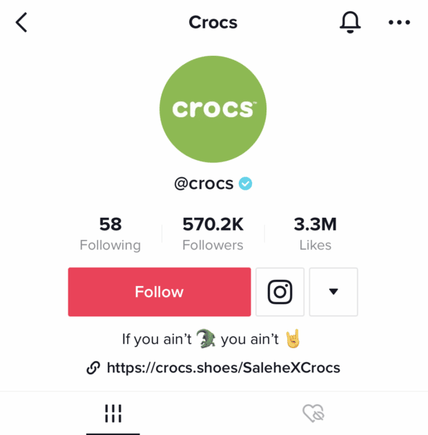 crocs اگر شما croc نیستید سنگ نیستید