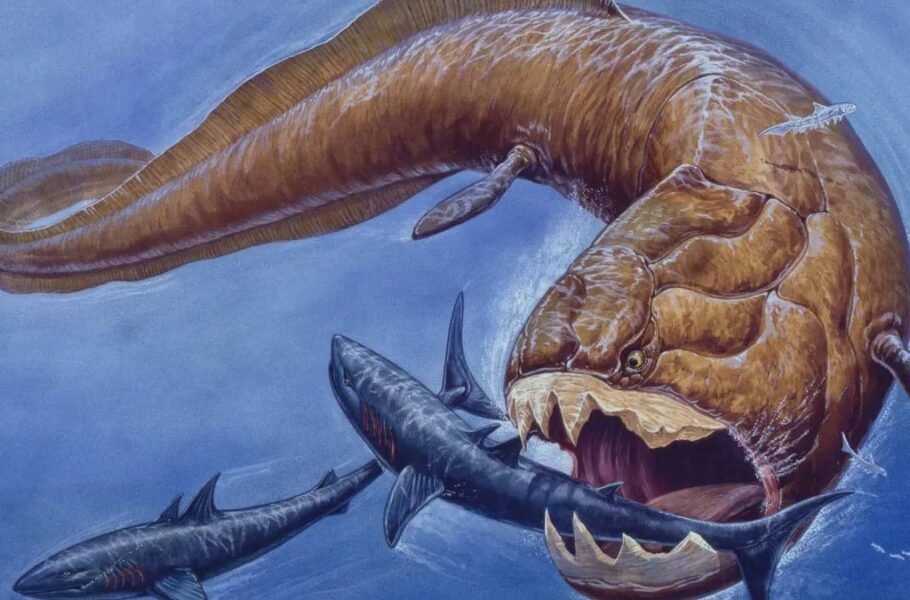 دانشمندان جزئیات جدیدی در مورد یک موجود دریایی کشنده باستانی کشف کردند
